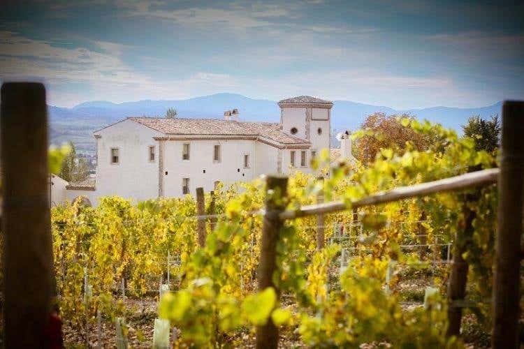 Tenuta Casadonna